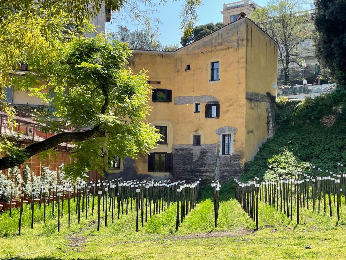 Il Mulino Di Trastevere - My Extra Appartamento