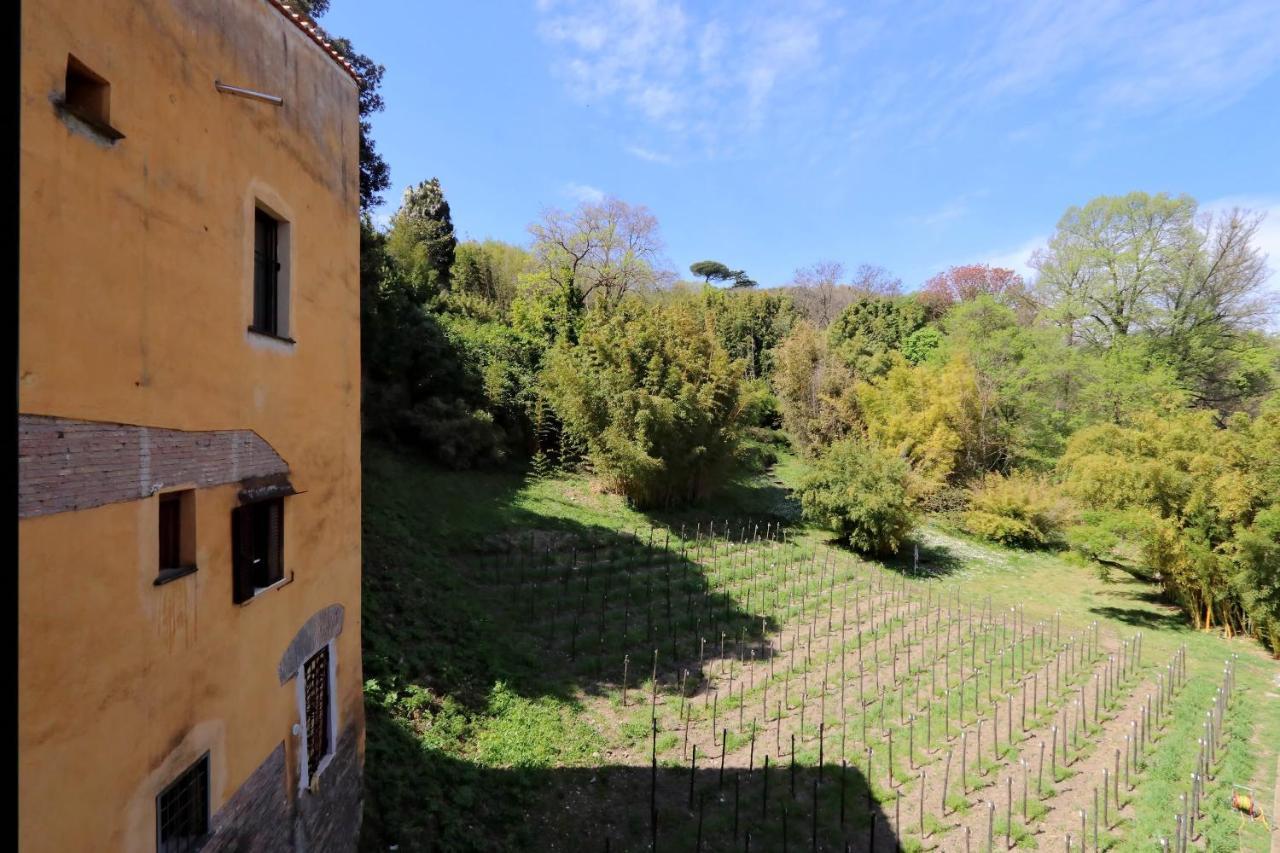 Il Mulino Di Trastevere - My Extra * Roma